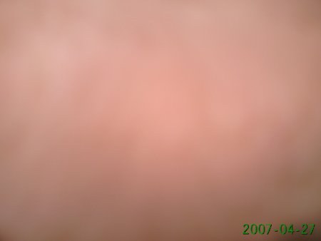 img160.jpeg.medium.jpeg