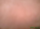img160.jpeg.small.jpeg