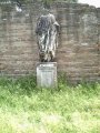 img310.jpeg.small.jpeg