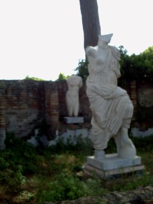 img313.jpeg.medium.jpeg