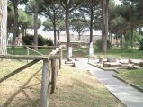 img327.jpeg.small.jpeg