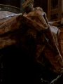 img384.jpeg.small.jpeg